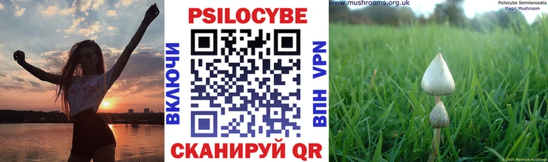 Псилоцибиновые грибы Psilocybine cubensis  наркота  Бутурлиновка 